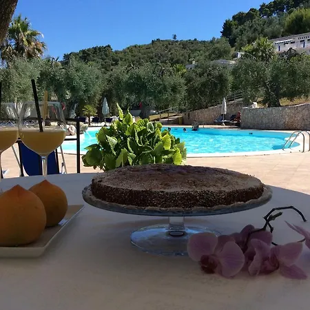 Paradise