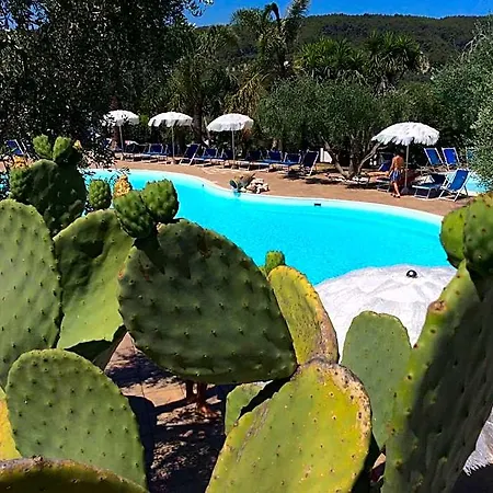 Paradise 4* פסקיצ'י