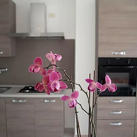 Paradise 4* Пескичи