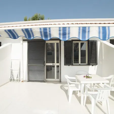 Paradise פסקיצ'י