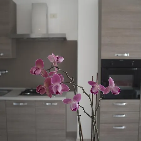 Apart-hotel Paradise