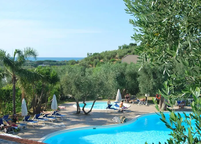 Paradise פסקיצ'י